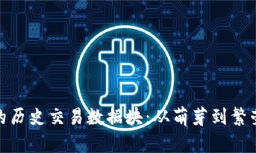 探索比特币钱包的历史交易数据块:从萌芽到繁荣的数字货币之旅