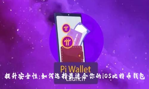 提升安全性:如何选择最适合你的iOS比特币钱包