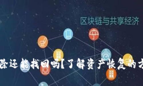 IM钱包代币删除还能找回吗?了解资产恢复的方法与注意事项