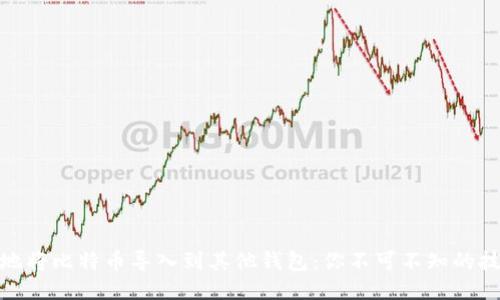 如何安全地将比特币导入到其他钱包:你不可不知的技巧与步骤