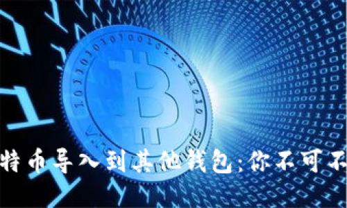 如何安全地将比特币导入到其他钱包:你不可不知的技巧与步骤