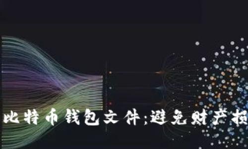 如何安全下载比特币钱包文件:避免财产损失的终极指南