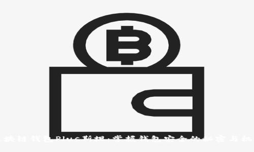 区块链钱包Plus斯坦：掌握钱包安全的秘密与机遇