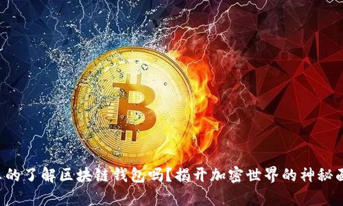 你真的了解区块链钱包吗？揭开加密世界的神秘面纱！