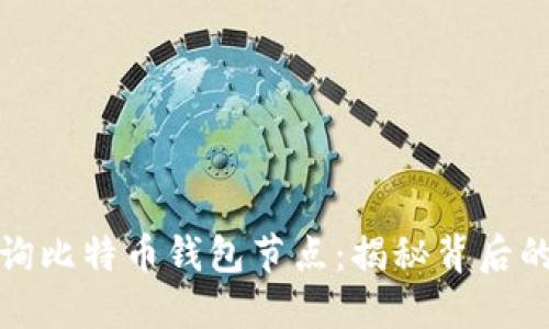 如何高效查询比特币钱包节点:揭秘背后的技术与文化